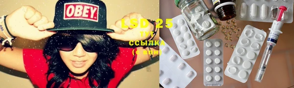 тгк Новозыбков
