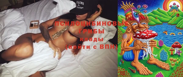 стафф Новодвинск